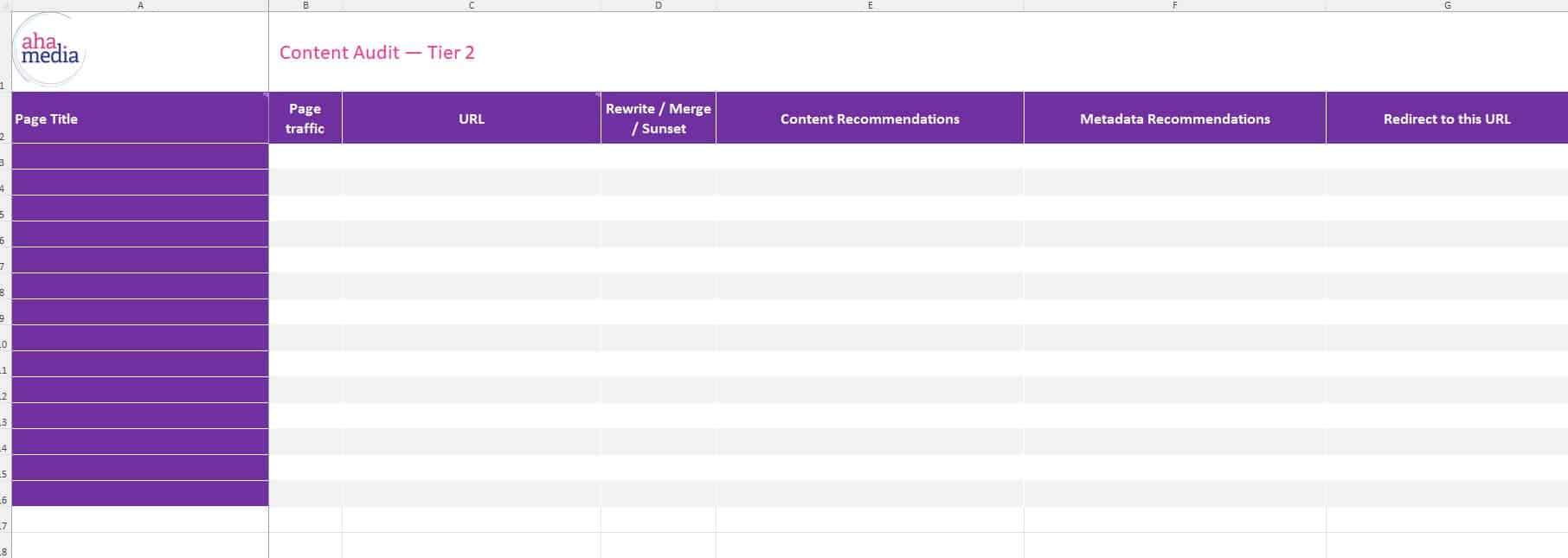 Blank template for a healthcare content audit