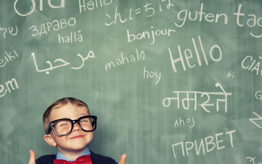What’s a Language Board? Does it Matter?