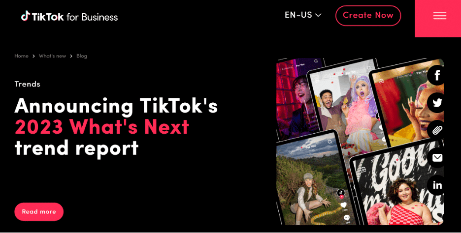 TikTok's 2023 What's Next Report Image